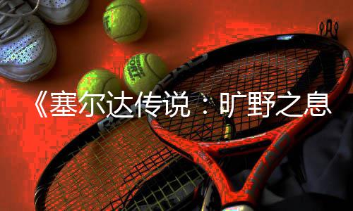 尔达野之攻略挑战息旷传说剑之塞试炼